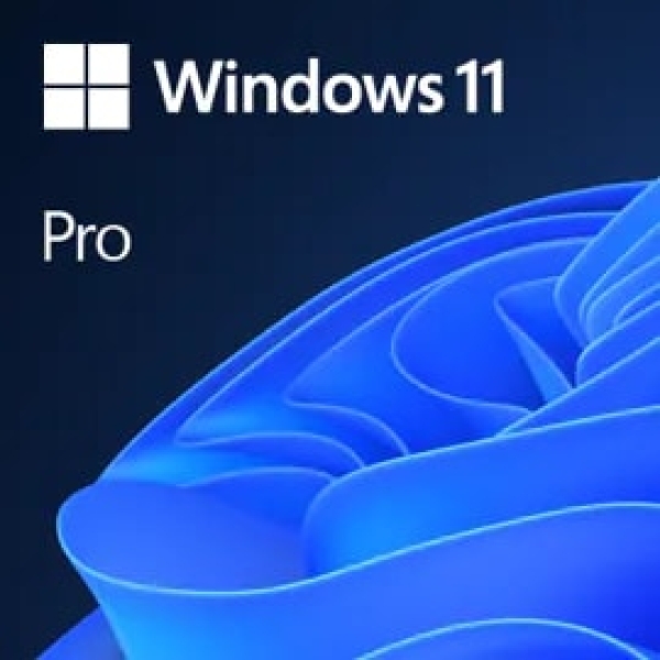 Microsoft Windows 11 Pro 1 licencia(s)