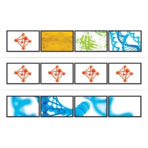 StarTech.com Splitter Multiplicador DP a 4 puertos DisplayPort - Hub MST StarTech.com Splitter Multiplicador DP a 4 puertos DisplayPort – Hub MST