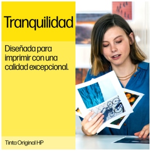 HP Cartucho de tinta gris 72 de 130 ml