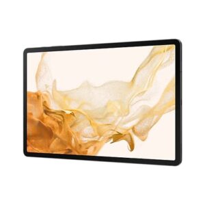 Samsung Galaxy Tab S8+ SM-X800N 256 GB 31,5 cm (12.4") Qualcomm Snapdragon 8 GB Wi-Fi 6 (802.11ax) Grafito