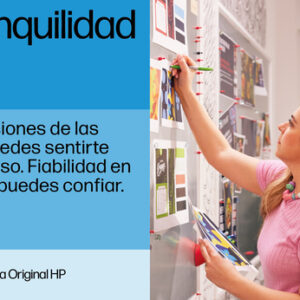 HP Cartucho de tinta original 300 negro