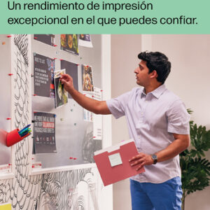 HP Cartucho de tinta original 300 negro