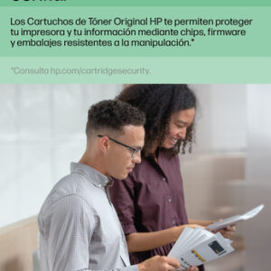 HP Cartucho de tinta original 300 negro