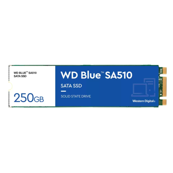 WD Blue SA510 WDS250G3B0B - SSD - 250 GB - interno - M.2 2280 - SATA 6Gb/s - azul