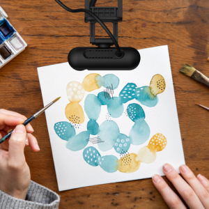 j5create JVU250-N Cámara web HD de alta definición con interruptor de enfoque manual y automático