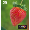 Epson Strawberry Multipack 4-colours 29 EasyMail