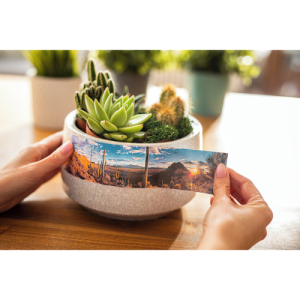 Brother CZ-1005 - Rollo (5 cm x 5 m) 1 bobina(s) etiquetas continuas - para Brother VC-500W