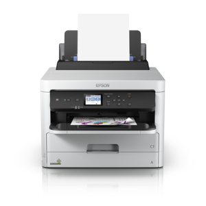 Epson DURABrite Pro