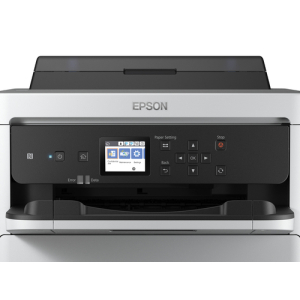 Epson DURABrite Pro