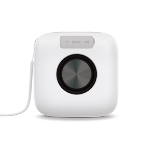 Veho MZ-4 Altavoz monofónico portátil Blanco 5 W