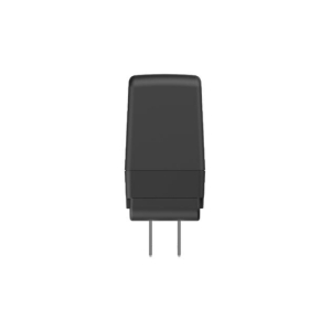 NETGEAR PAV12V25 adaptador e inversor de corriente Interior Negro