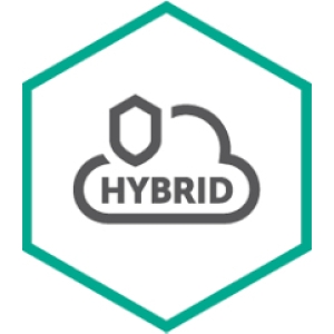 Kaspersky Lab Hybrid Cloud Security for Server Renovación 3 año(s)