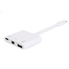Equip 133463 hub de interfaz USB 3.2 Gen 1 (3.1 Gen 1) Type-C Blanco Equip 133463 hub de interfaz USB 3.2 Gen 1 (3.1 Gen 1) Type-C Blanco