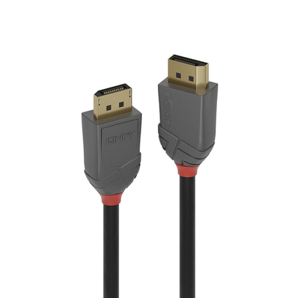 Lindy 36481 cable DisplayPort 1 m Negro