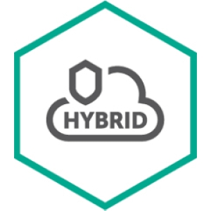 Kaspersky Lab Hybrid Cloud Security Renovación 12 mes(es)