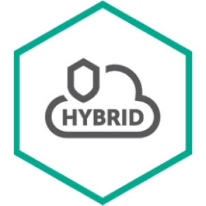 Kaspersky Lab Hybrid Cloud Security Renovación 24 mes(es)