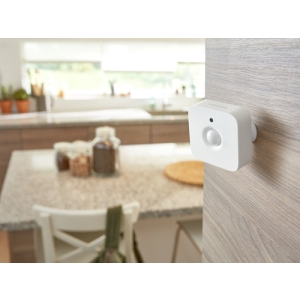 Philips Hue Motion sensor