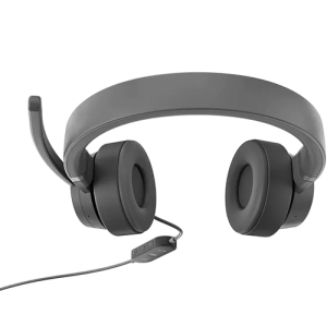 Lenovo GXD1C99243 auricular y casco Auriculares Alámbrico Diadema Llamadas/Música USB Tipo C Gris