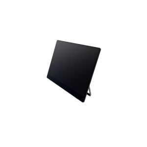 Ricoh Monitor portátil 150