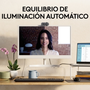 Logitech Brio 100 cámara web 2 MP 1920 x 1080 Pixeles USB Grafito