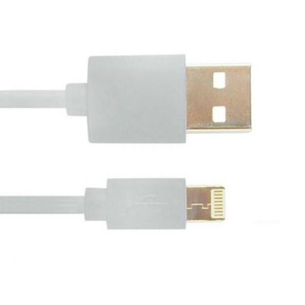 CABLE CONCEPTRONIC USB MACHO / LIGHTNING MACHO 2M WHITE BULK