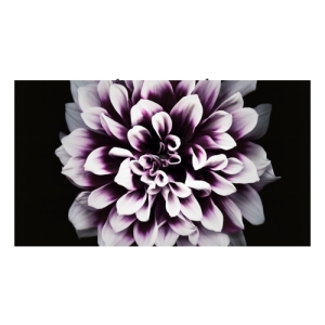 Samsung LH012IWJMWS LED Interior