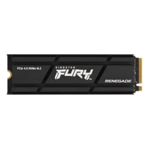 1000G RENEGADE NVMe SSD W/HEATSINK