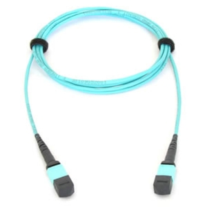 Allied Telesis AT-MTP12-1 cable de fibra optica 1 m MTP