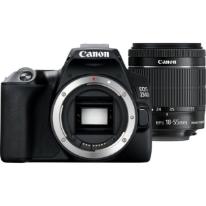 Canon EOS 250D + EF-S 18-55mm f/3.5-5.6 III Juego de cámara SLR 24