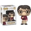 Funko Pop Harry Potter Aniversario Edicion