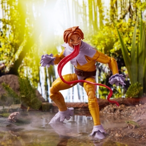 Marvel Legends Series ’s Toad