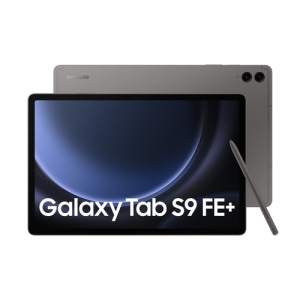 Samsung Galaxy Tab S9 FE+ 5G 256 GB 31