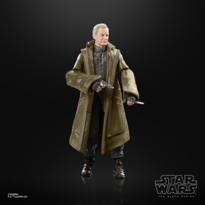 Star Wars The Black Series F55295X0 toy figure