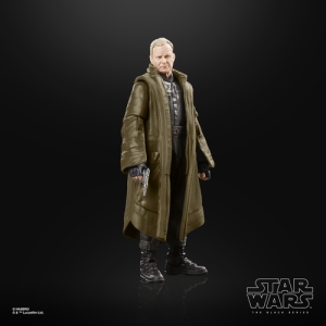 Star Wars The Black Series F55295X0 toy figure
