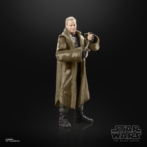 Star Wars The Black Series F55295X0 toy figure