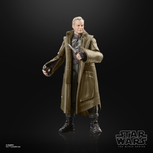 Star Wars The Black Series F55295X0 toy figure