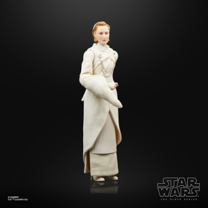 Star Wars The Black Series F55305X0 toy figure Star Wars The Black Series F55305X0 toy figure