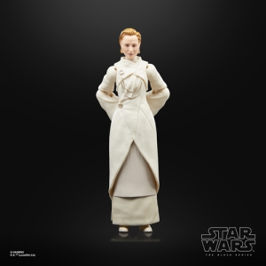 Star Wars The Black Series F55305X0 toy figure Star Wars The Black Series F55305X0 toy figure