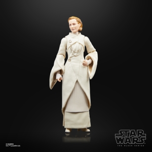 Star Wars The Black Series F55305X0 toy figure Star Wars The Black Series F55305X0 toy figure