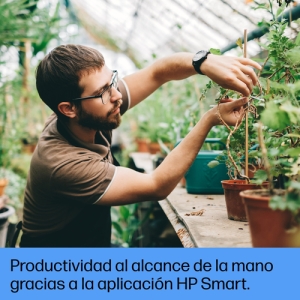 HP LaserJet Pro Impresora multifunción 3102fdw, Blanco y negro, Impresora para Pequeñas y medianas empresas, Imprima, copie, escanee y envíe por fax, Conexión inalámbrica; Impresión desde móvil o tablet; Impresión a doble cara; Fax HP LaserJet Pro Impresora multifunción 3102fdw, Blanco y negro, Impresora para Pequeñas y medianas empresas, Imprima, copie, escanee y envíe por fax, Conexión inalámbrica; Impresión desde móvil o tablet; Impresión a doble cara; Fax