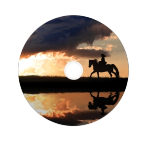 Verbatim 43667 DVD en blanco 8,5 GB DVD+R DL 25 pieza(s)