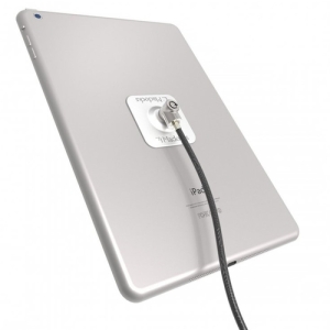 Compulocks Universal Tablet Lock cable antirrobo Acero inoxidable