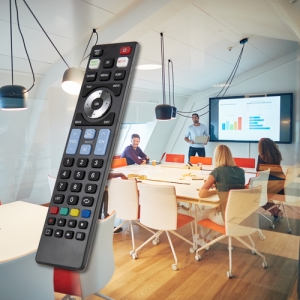 Ewent EW1576 mando a distancia TV Botones