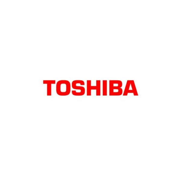 Reacondicionado | Toshiba N300 NAS 3.5" 8000 GB Serial ATA III