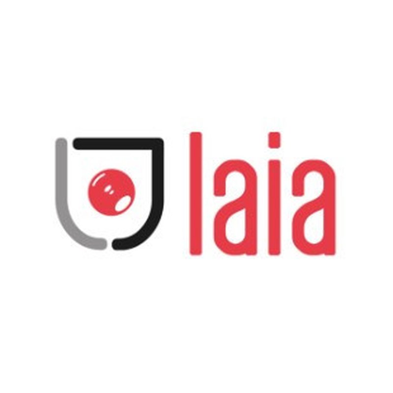 LAIA SOPORTE UNIVERSAL DE PARED DE HIERRO NEGRO GALVANIZADO (SWM) LAIA SOPORTE UNIVERSAL DE PARED DE HIERRO NEGRO GALVANIZADO (SWM)