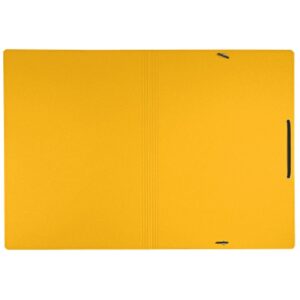 Leitz 39080015 carpeta Cartón Amarillo A4 Leitz 39080015 carpeta Cartón Amarillo A4