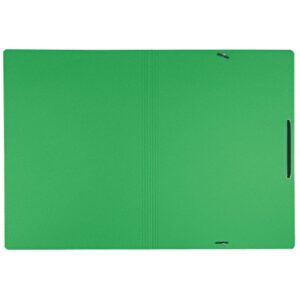 Leitz 39080055 carpeta Cartón Verde A4
