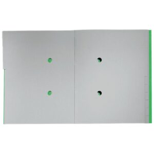 Leitz 39150055 divisor Cartón Verde 1 pieza(s)
