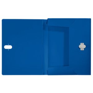 Leitz 46230035 caja archivador 250 hojas Azul Polipropileno (PP)