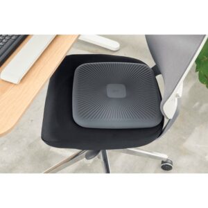 Leitz 65390089 entrenador equilibrio Cojín de equilibrio Gris Leitz 65390089 entrenador equilibrio Cojín de equilibrio Gris